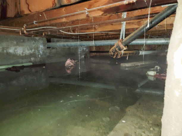  Traverse City, MI Water damage restoration Pros