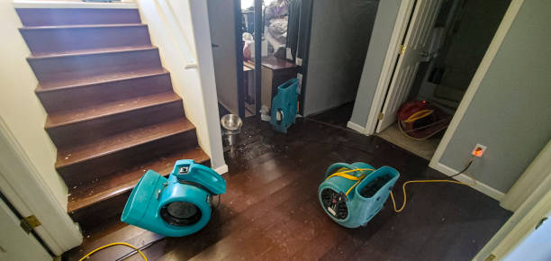 Best Emergency water extraction  in Traverse City, MI