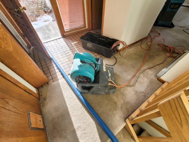 Best Flooded house restoration  in Traverse City, MI