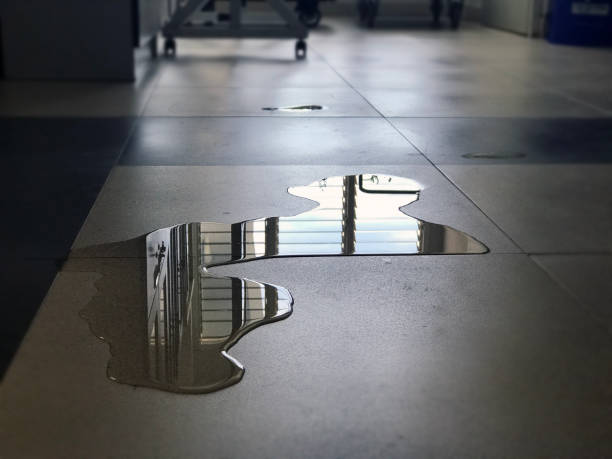 Best Carpet water damage restoration  in Traverse City, MI