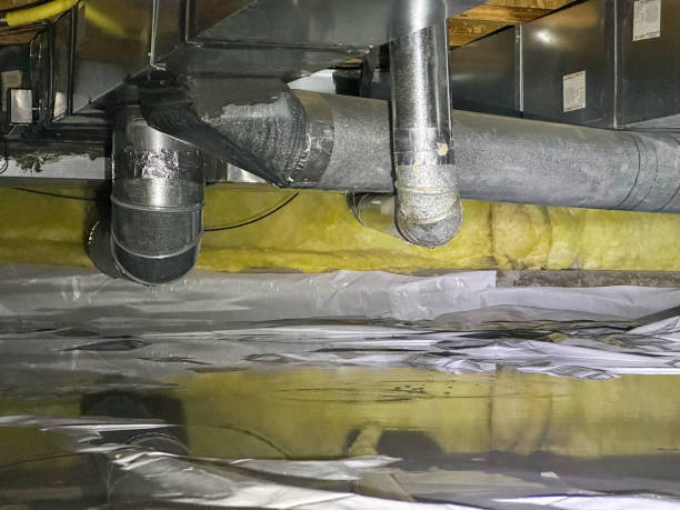 Best Flood damage cleanup  in Traverse City, MI